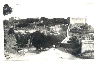 416.jpg